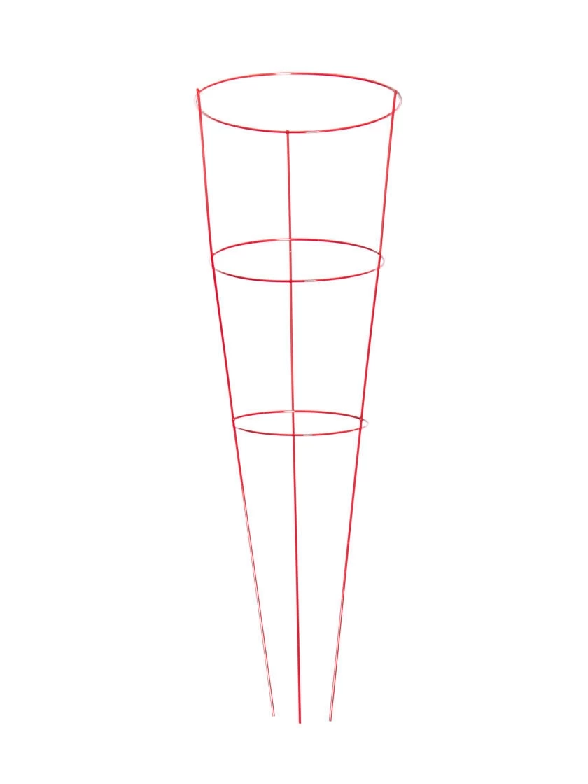 Heavy-Duty Plant Supports 42", Set Of 5 5 Heavy-Duty Plant Supports 42", Set Of 5 - Image 3