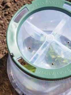 Sunny Forcing Cloches, Set Of 3 -Garden Tools Store 8600075 0742 tif