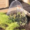 Chicken Wire Cloche With Extension -Garden Tools Store 8600116 0482 tif