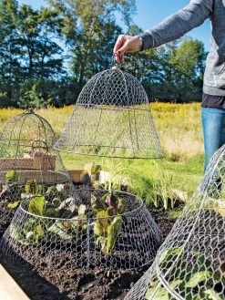 Chicken Wire Cloche With Extension -Garden Tools Store 8600116 0604 3 4
