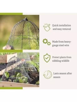 Chicken Wire Cloche With Extension -Garden Tools Store 8600116 3
