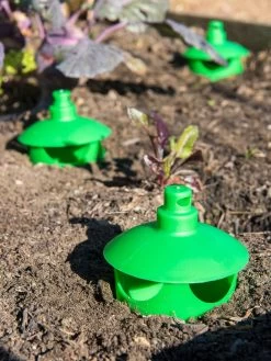 Slug And Snail Traps, Set Of 3 -Garden Tools Store 8600120 1788