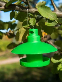 Slug And Snail Traps, Set Of 3 -Garden Tools Store 8600120 1792