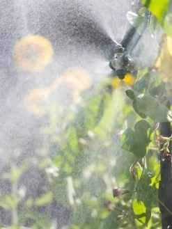 Landscape 4-Way Cooling Mist Kit, 50' 12 Landscape 4-Way Cooling Mist Kit, 50' -Garden Tools Store 8600154 0695 tif