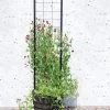 Gardener’s Victory Self-Watering Planter With Vine Trellis -Garden Tools Store 8600177 05490 tif