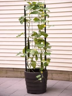 Gardener’s Victory Self-Watering Planter Garden With Vine Trellis -Garden Tools Store 8600177 9876 tif 1