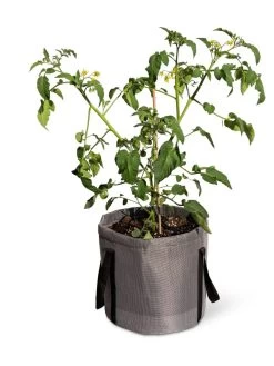 Reinforced Colorful Grow Bags -Garden Tools Store 8600229 0944 tif