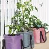 Reinforced Colorful Grow Bags 2 Reinforced Colorful Grow Bags -Garden Tools Store 8600229 19957 tif