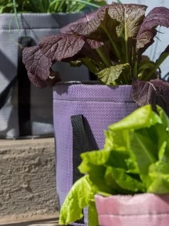 Reinforced Colorful Grow Bags -Garden Tools Store 8600230 20013 tif