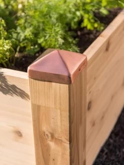 Copper Cap Raised Beds 11 Copper Cap Raised Beds -Garden Tools Store 8600496 0564 tif