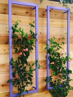 Ina Modern Wall Trellis Sr. -Garden Tools Store 8600510 07V tif