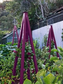 Akoris Garden Tuteur Jr. -Garden Tools Store 8600517 01V akoris garden tuteur tif 1