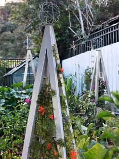 Akoris Garden Tuteur Jr. -Garden Tools Store 8600517 07V tif