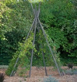 Annabel Tipi Trellis -Garden Tools Store 8600521 07V jpg