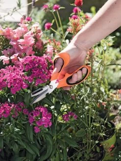 Gardener's Multi Purpose Scissors -Garden Tools Store 8608655 19551 tif