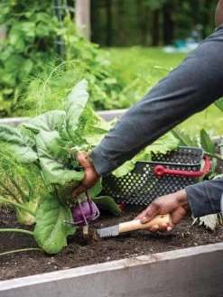 Gardener's Lifetime Hori Hori Knife 9 Gardener's Lifetime Hori Hori Knife -Garden Tools Store 8608888 0422 tif