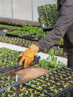 The Vermonter By Vermont Glove -Garden Tools Store 8608918 08v