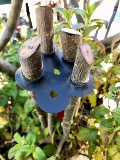 Garden Cane Connects, Set Of 6 -Garden Tools Store 8609019 01V tif