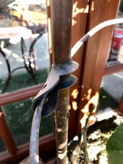 Garden Cane Connects, Set Of 6 -Garden Tools Store 8609019 03V tif