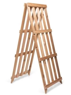 Cedar Shrub Guard -Garden Tools Store 8609071 5061