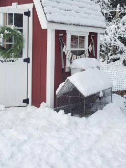 Chicken Wire Crop Coop 24 Chicken Wire Crop Coop -Garden Tools Store 8609080 03IN tif