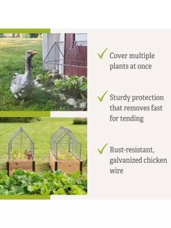 Chicken Wire Crop Coop 17 Chicken Wire Crop Coop -Garden Tools Store 8609080 2