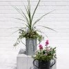 Metal Bucket Planters -Garden Tools Store 8609086 5623 tif