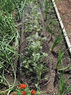 Chicken Wire Row Cloche Expandable Extra Large 3N1 -Garden Tools Store 8609412 5903 tif