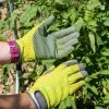 Garden Works Artisan™ Gloves -Garden Tools Store 8609445 0364 tif