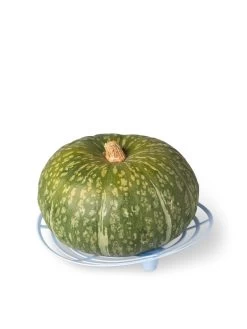 Melon And Squash Cradles, Set Of 6 -Garden Tools Store 8609464 5204 tif