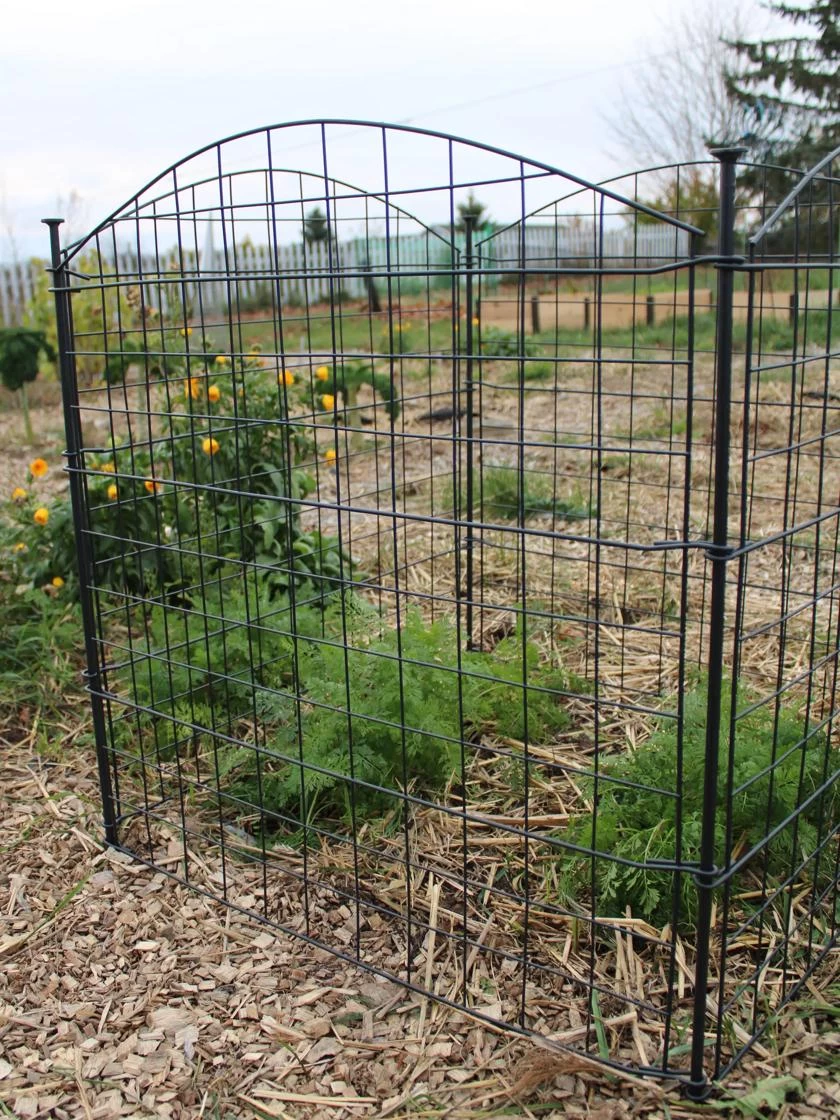 4 Panel Critter Fence 4 4 Panel Critter Fence - Image 2