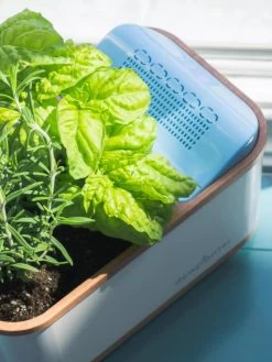 Dewplanter 10 Dewplanter -Garden Tools Store 8609512 04V