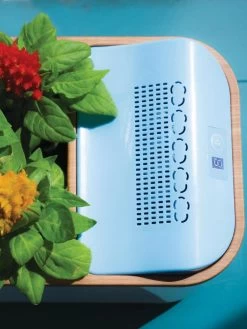 Dewplanter 9 Dewplanter -Garden Tools Store 8609512 Dewplanter