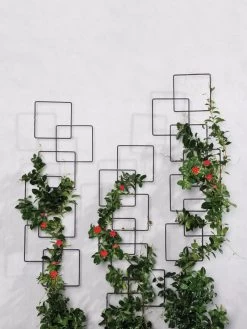 Building Blocks Wall Trellis, 45" -Garden Tools Store 8610183 5811 tif