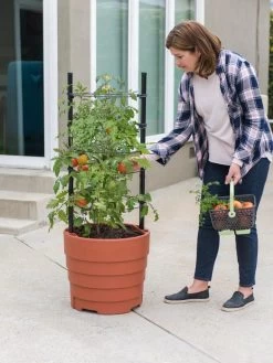 Gardener’s Victory Self-Watering Planter Garden Kit -Garden Tools Store 8610239 06002 tif