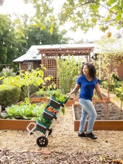 Mod Hod Trolley With Teal Mod Hods -Garden Tools Store 8610240 0070 tif