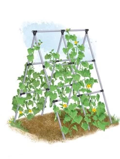 Garden Tools Store -Garden Tools Store 8610366 MP A Frame tif