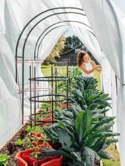 Maxi Garden Hoops With Clips -Garden Tools Store 8610373 377 tif