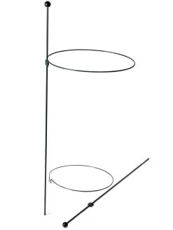 Peacock Classic Plant Support Rings 15", Set Of 2 -Garden Tools Store 8610384 9562 tif