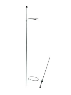 Peacock Mini Plant Support Rings 4", Set Of 2 14 Peacock Mini Plant Support Rings 4", Set Of 2 -Garden Tools Store 8610386 9566