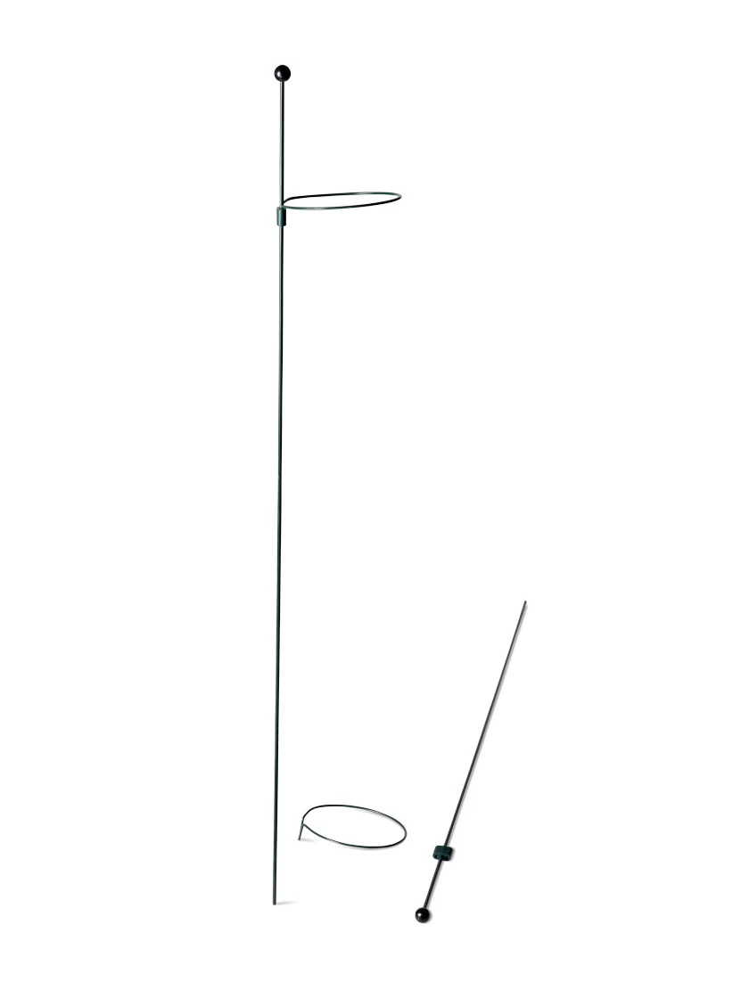 Peacock Mini Plant Support Rings 4", Set Of 2 7 Peacock Mini Plant Support Rings 4", Set Of 2 - Image 5