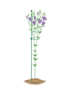 Peacock Mini Plant Support Rings 4", Set Of 2 12 Peacock Mini Plant Support Rings 4", Set Of 2 -Garden Tools Store 8610386 peacock4x36