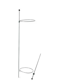 Peacock Mini Plant Support Rings 8", Set Of 2 15 Peacock Mini Plant Support Rings 8", Set Of 2 -Garden Tools Store 8610388 9565 tif