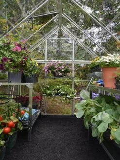 Canopia® By Palram Harmony™ Greenhouse, 6' X 14' -Garden Tools Store 8610563 03V jpg