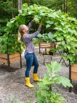 2’ X 8’ Arch Trellis For Planter Boxes -Garden Tools Store 8610798 050 tif