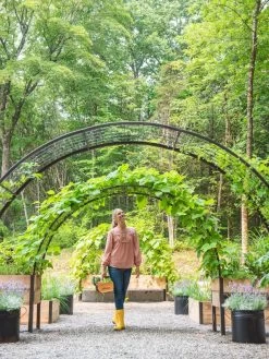 2’ X 8’ Arch Trellis For Planter Boxes -Garden Tools Store 8610798 071 tif