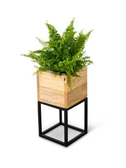 Tartu Elevated Square Planters 19 Tartu Elevated Square Planters -Garden Tools Store 8611004 038