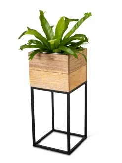 Tartu Elevated Square Planters 20 Tartu Elevated Square Planters -Garden Tools Store 8611005 036