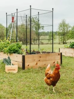 Tall Chicken Wire Critter Fence With Gate -Garden Tools Store 8611020 316 tif