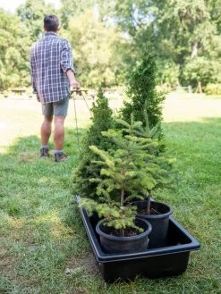 Gardener's Summer Sled And Cover -Garden Tools Store 8611044 229 tif